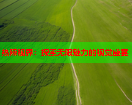 热辣视界：探索无限魅力的视觉盛宴
