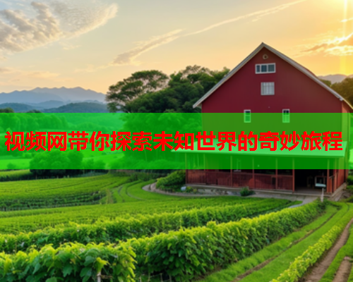 视频网带你探索未知世界的奇妙旅程