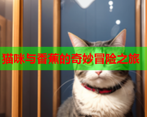 猫咪与香蕉的奇妙冒险之旅