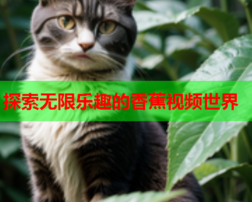 探索无限乐趣的香蕉视频世界