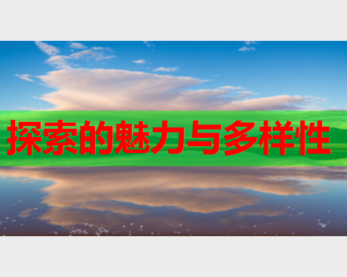 探索的魅力与多样性
