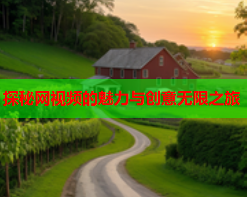 探秘网视频的魅力与创意无限之旅
