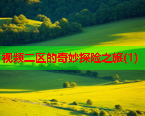 视频二区的奇妙探险之旅(1)