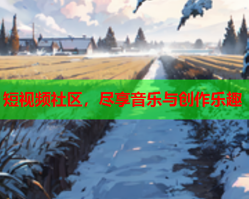 短视频社区，尽享音乐与创作乐趣  第2张